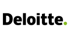 Deloitte Partner