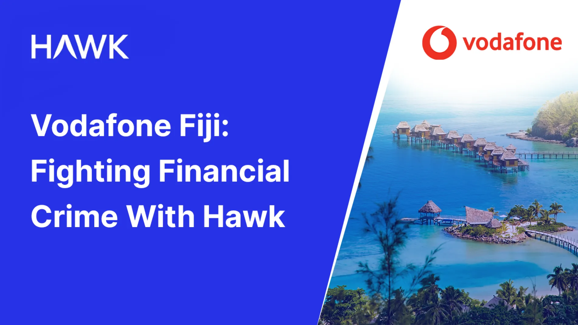Hawk_and_VodafoneFiji
