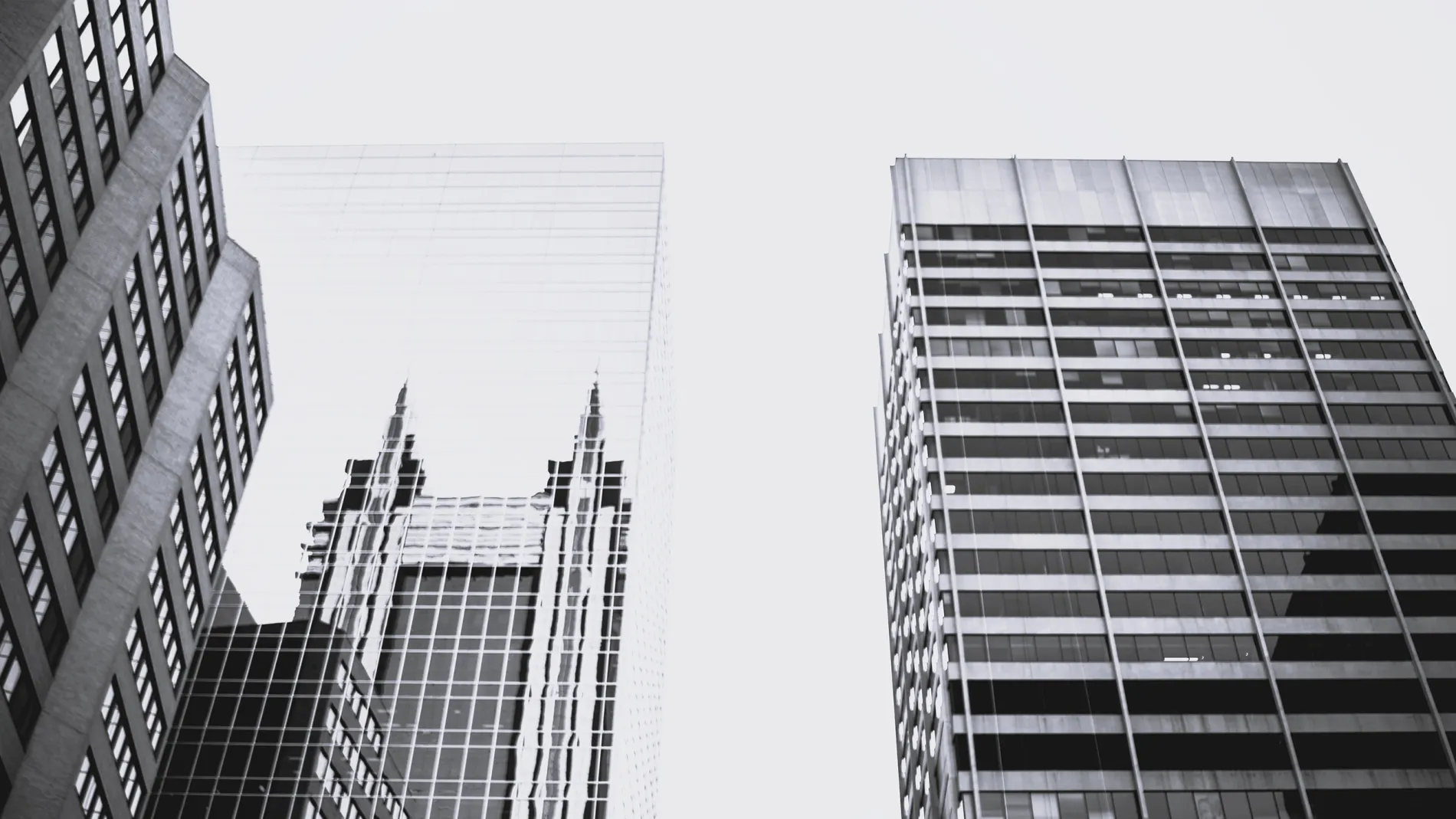 Corporate Information