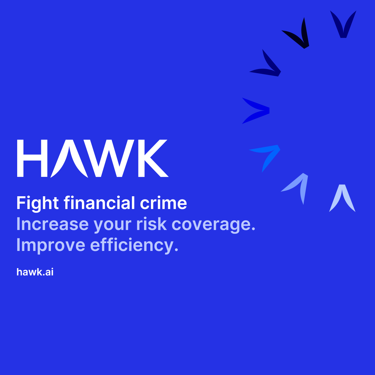 hawk.ai